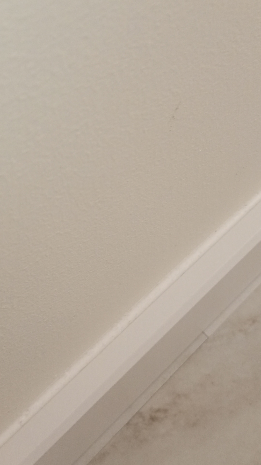 After photo for Основно почистване