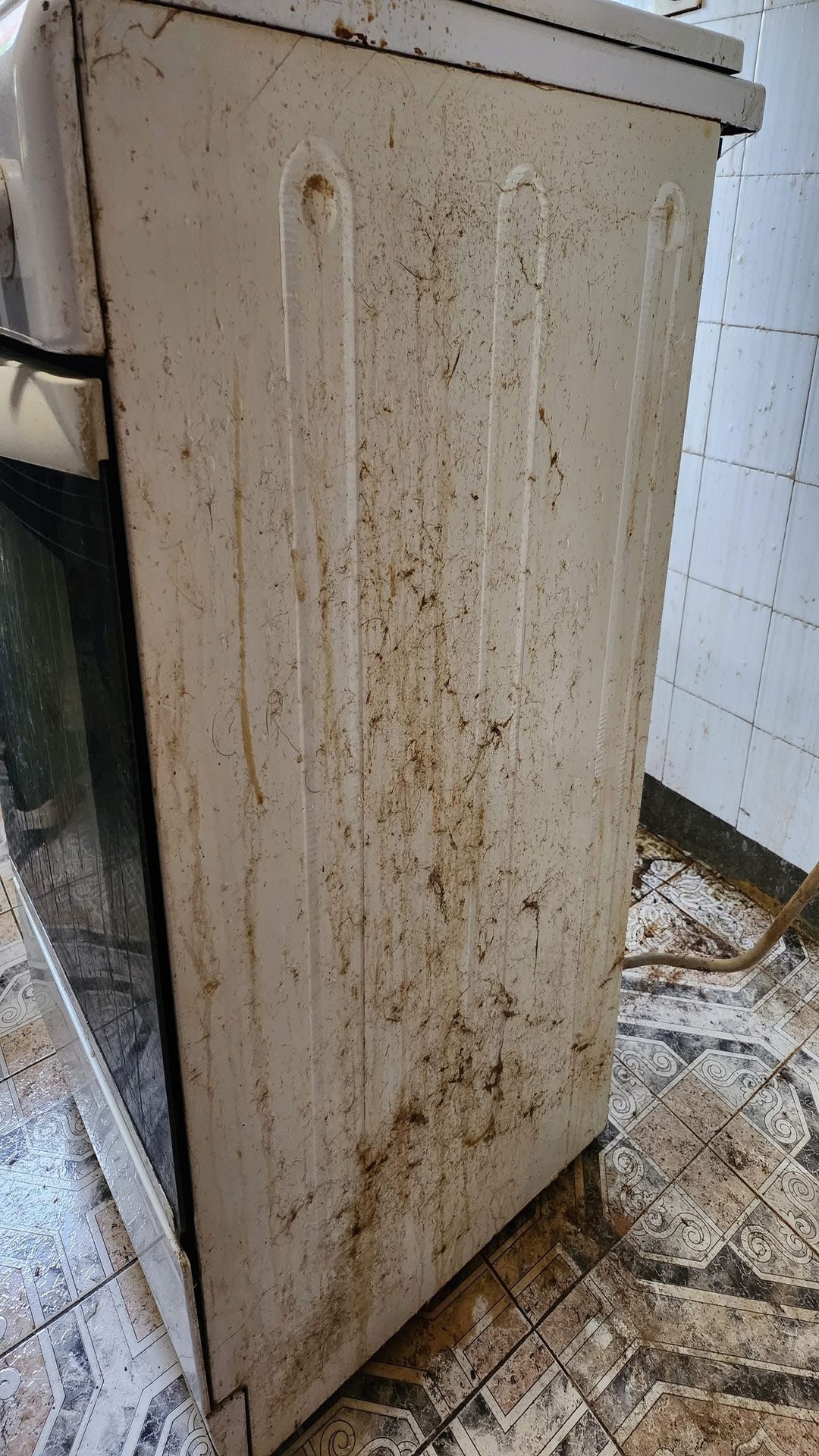 Before photo for Основно почистване