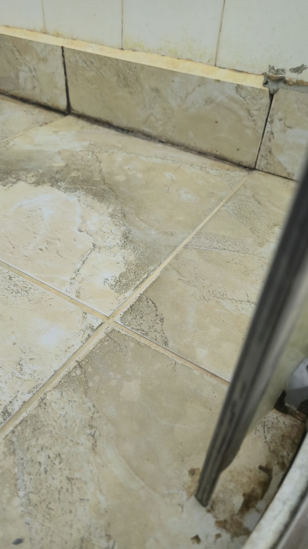 Before photo for Bathroom Cleaning