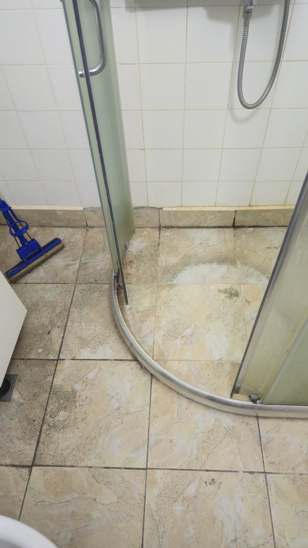 Before photo for Bathroom Cleaning