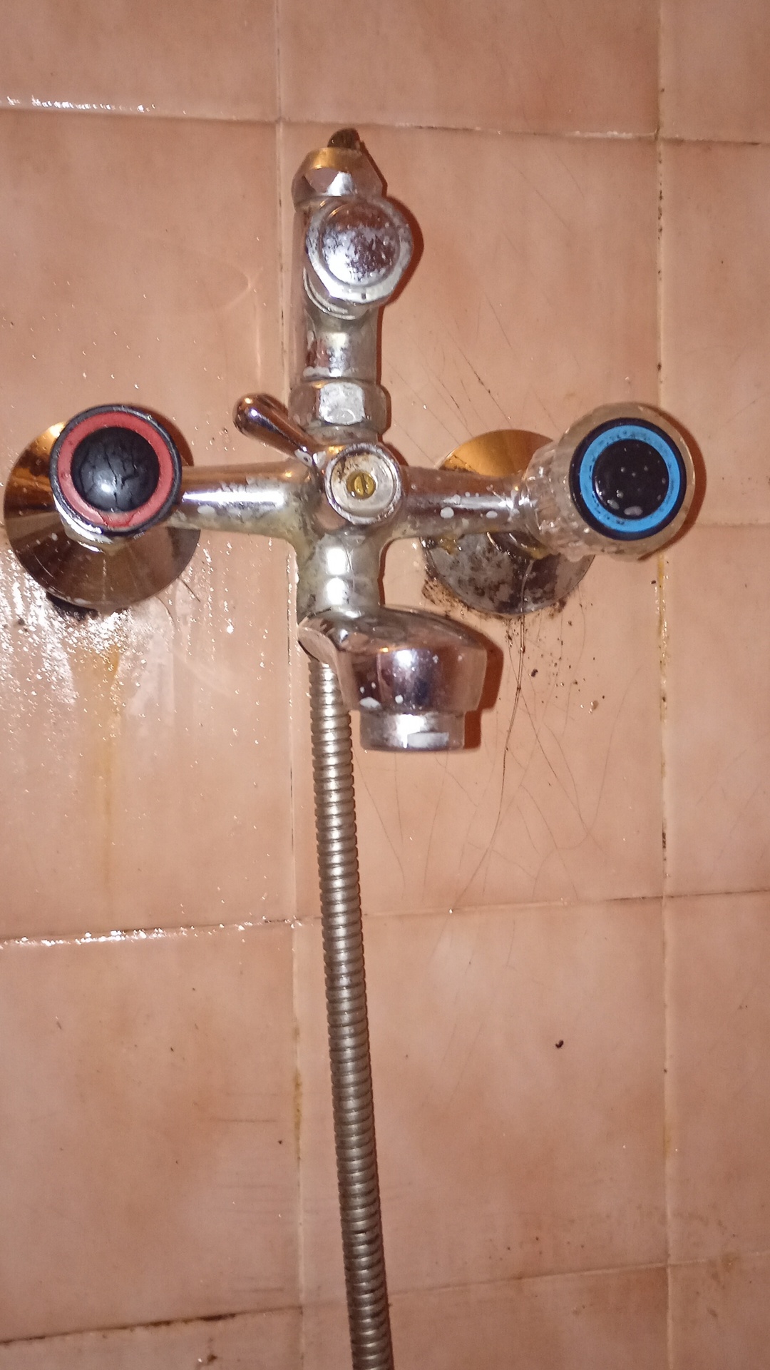 Before photo for Основно почистване