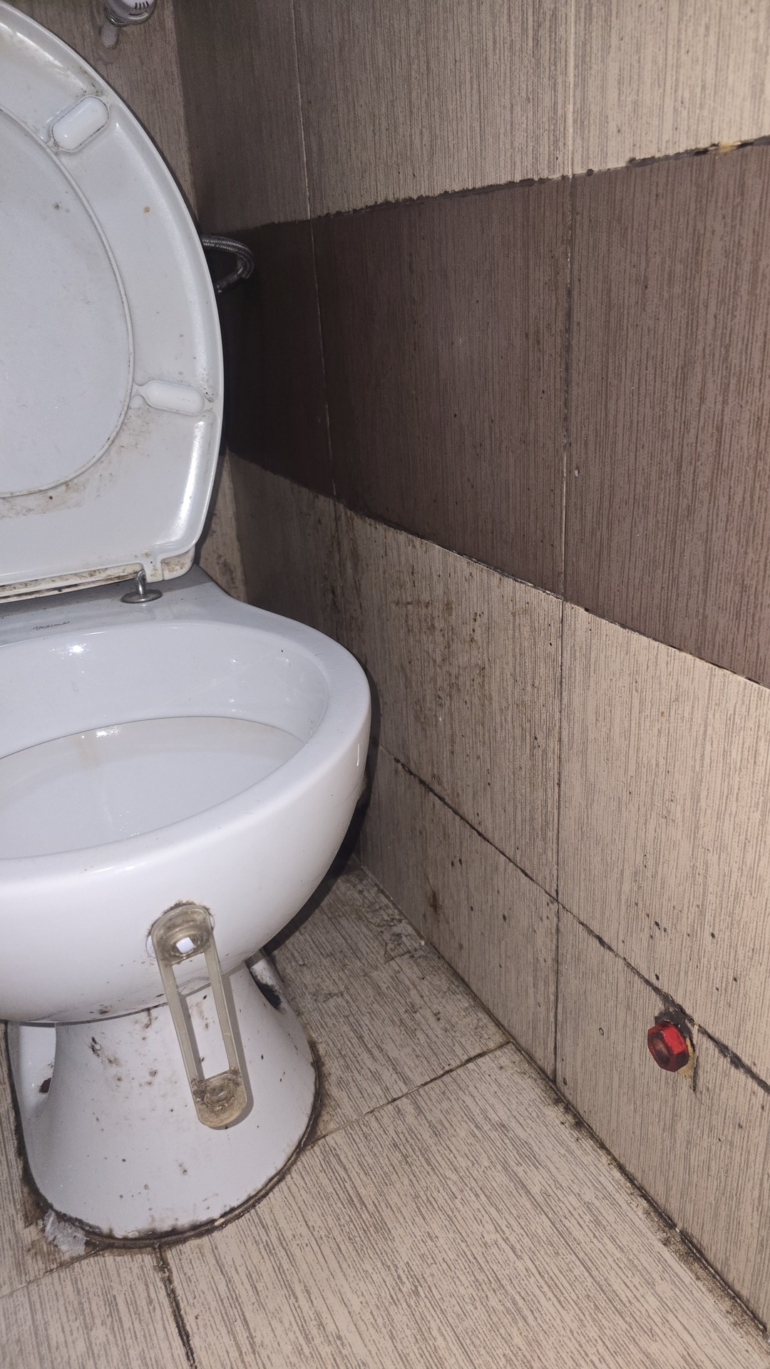 Before photo for Основно почистване