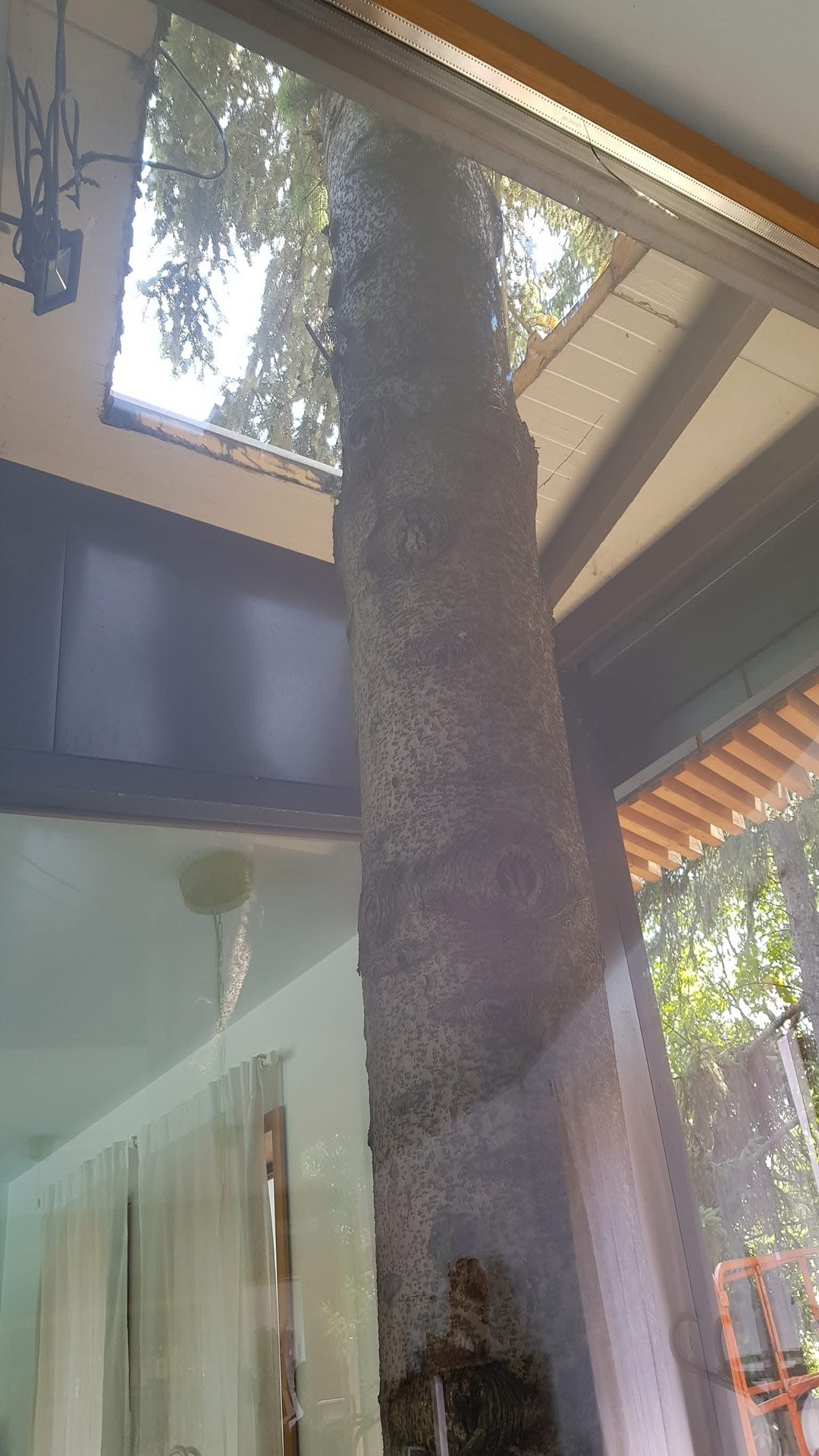 After photo for Почистване на прозорци